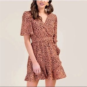Francesca’s Pink Leopard Mini Dress